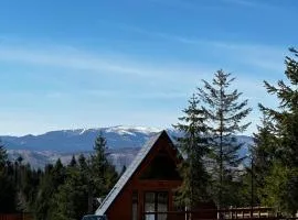 Cabană Panoramic Aframe