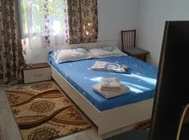 La mine acasă