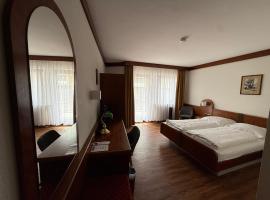 Hotel Post Viernheim，位于菲尔恩海姆的酒店