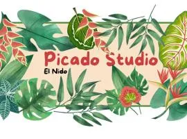 Picado House
