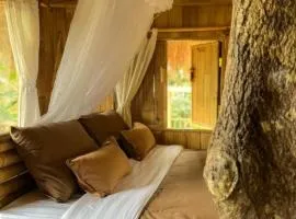 Tree bamboo house