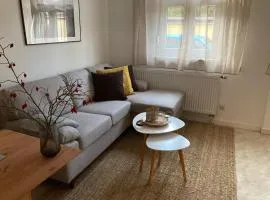 FeWo Ostrau, neues Bad, neue Küche, zentral, ruhig, Sandstein-Ferien, Terrasse