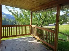 Ferienwohnung Löwenblick