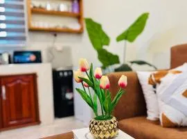 Snow View Kijenge Apartments