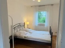 schöne 3 Zimmerwohnung Altbau, hochschulnah, free parking