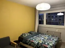 Yellow Room - Coloc Cursat
