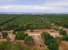 Domaine du Flamand - Gîtes du Pin Sec côté OCEAN