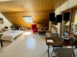 Pension Schmidt - Wipfelblick - Voll ausgestattetes Loft Apartment
