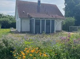 Ferienhaus Muschel
