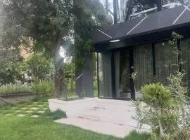 Azulik 2