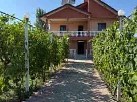 Villa Gega