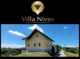 Villa Nives, wine region Jeruzalem