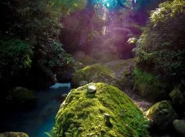 Hostal Casa Petricor