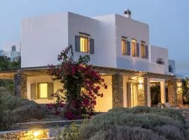 Seashore Villa Ariadni Paros