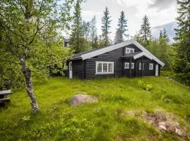 Trysilfjellet Sør 480