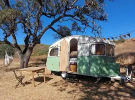 Lost Paradise - Cosy Wagon