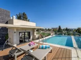 Penthouse with pool jerusalem