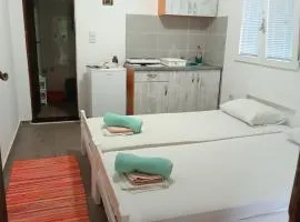 M6 olive tree studio