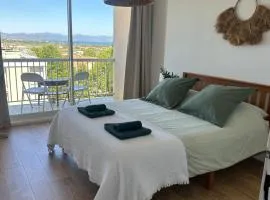 Perle Rare vue Mer et marais salants sur Giens à Hyeres