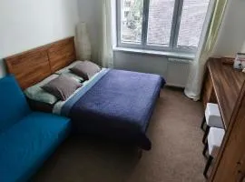 ROOM IN TREBON