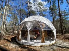Forest Dome Near Lake Oconee Artistic Design