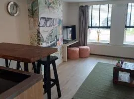 Studio Sintepier in 't Durp