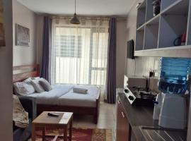 Girani Luxe Homes- Elegant comfy studio with A pool，位于Kiambu的带泳池的酒店