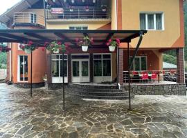 Pensiunea Pe drumuri de munte，位于Borca的酒店