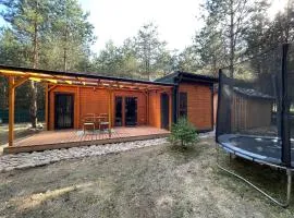 Domek pod lasem