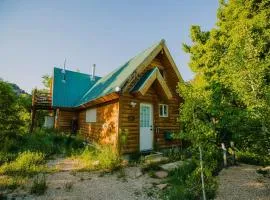 The Hummingbird at Zen Zion