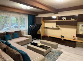 Cozyhouse，位于德罗贝塔-塞维林堡的自助式住宿