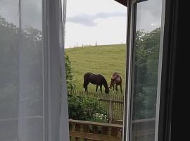Ferienwohnung und DZ Wiesnblick，位于奥尔巴赫的酒店