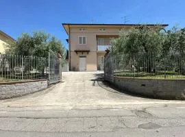 Casa in mezzo agli Ulivi