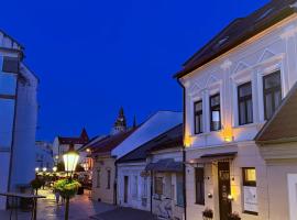 Hotel Zlaté Košice - Self reception
