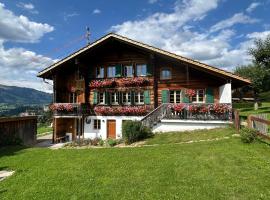Alpenchalet Haldeli Ferienwohnung，位于格施塔德的酒店