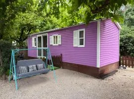 Lila House