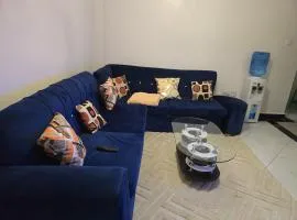 Modern 1BR Kihunguro Ruiru