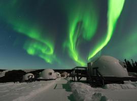 Borealis Basecamp
