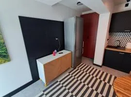 Kawalerka przy RONDZIE 2