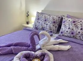 Lily Cozy Apartment