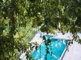 Sunwin River Cabana