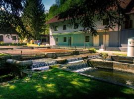 Stara ribogojnica & Pohorska postrv，位于卢瑟的酒店