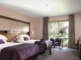 邓博因城堡spa酒店，位于邓博因的酒店