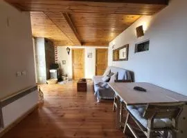 Apto Céntrico En Ossèja