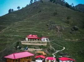 Jungle Woods Homestay