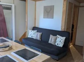 Chalet de 10 pers avec Suite Parental au pied des Pistes