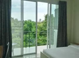 Didi2