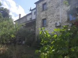casa delle arti