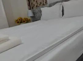 AME Home 2