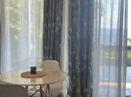 L'escapade du sud sauvage, le studio